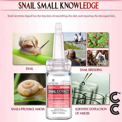 Anti Aging Peptides | Snail Essence Wrinkle Serum (3 vials per order)Skin Care Moisturising Repair Cream Acne Serum Regular